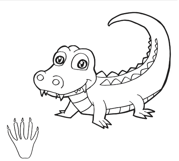Crocodile Coloring for Kids Coloring Page