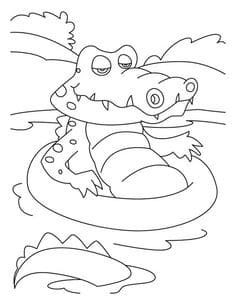 Crocodile Falling Asleep Coloring Coloring Page