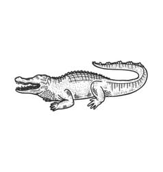 Crocodile Printable For Kids Coloring Page