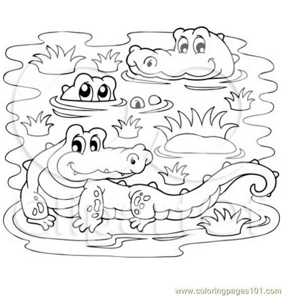 Crocodiles In A Swamp Coloring Page