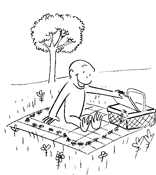 Curious George on a Picnic