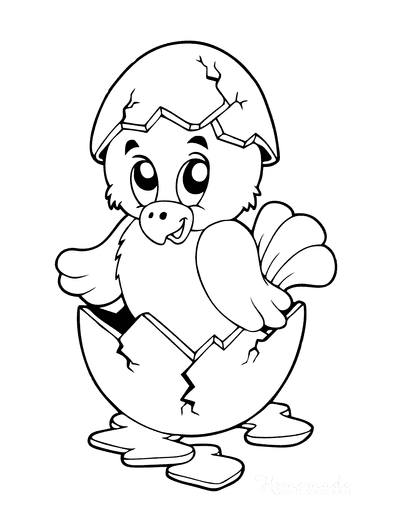 Cute Chick Hatching Picture to Color Coloring Page