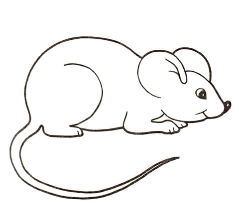 Cute House Mouse To Print Coloring Page