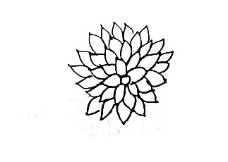 Dahlia-Drawing-1