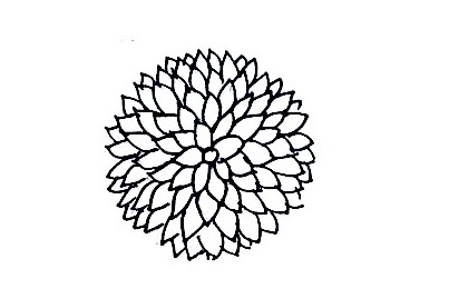 Dahlia-Drawing-3