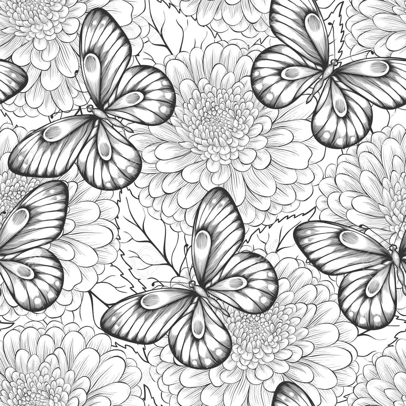 Dahlia Flower Printable Coloring Page