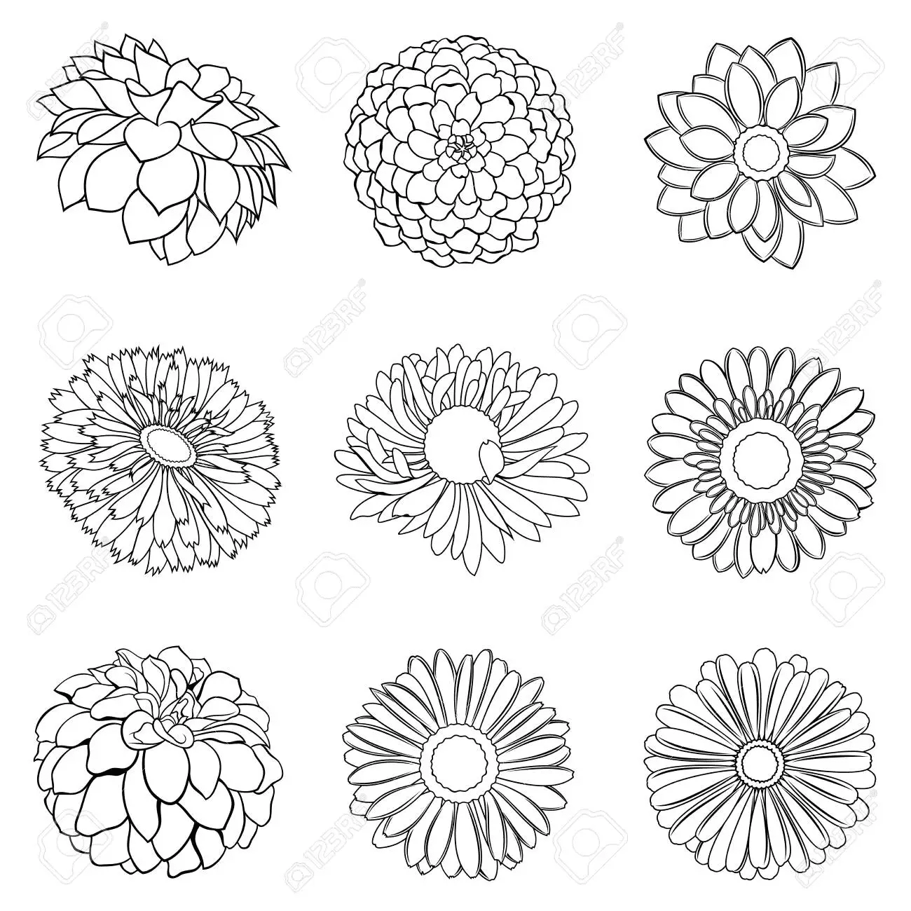 Dahlia Flower To Print Coloring Page