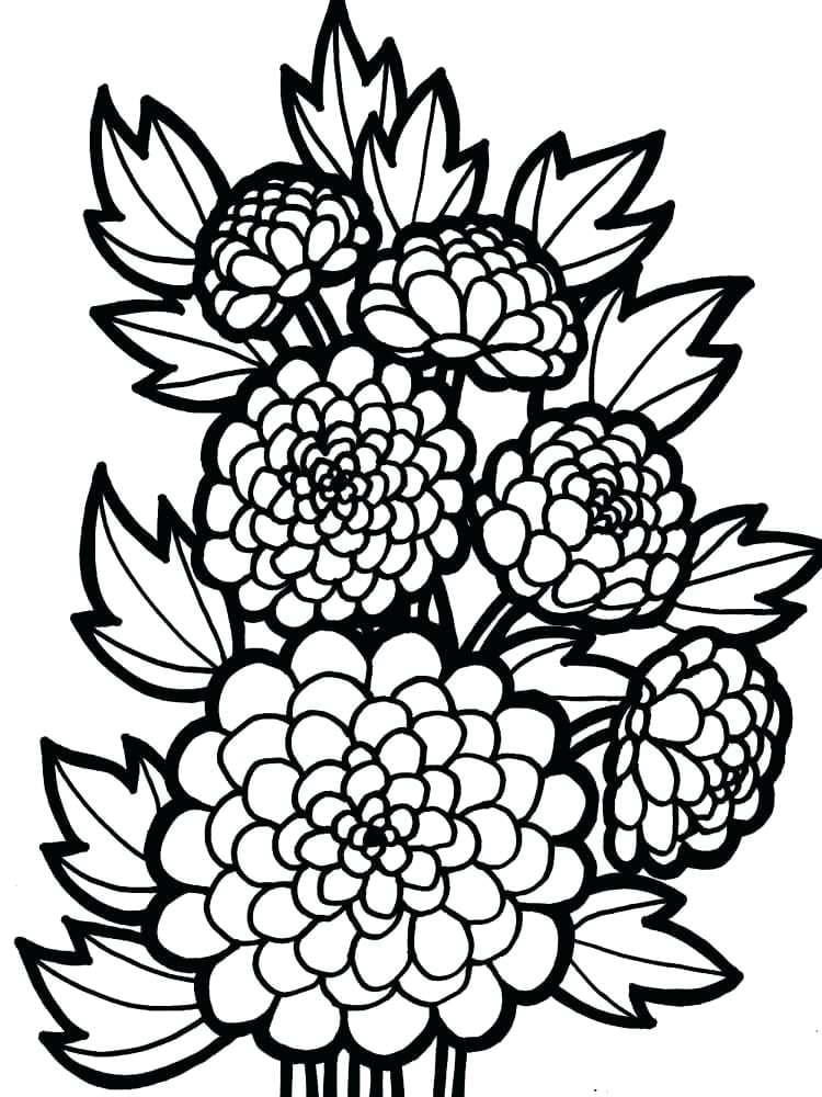 Dahlia Flowers Free Coloring Page