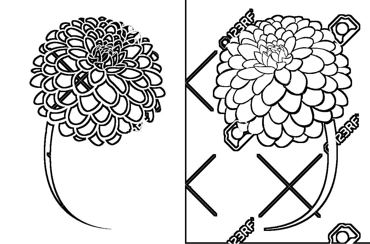 Dahlia Free Coloring Page