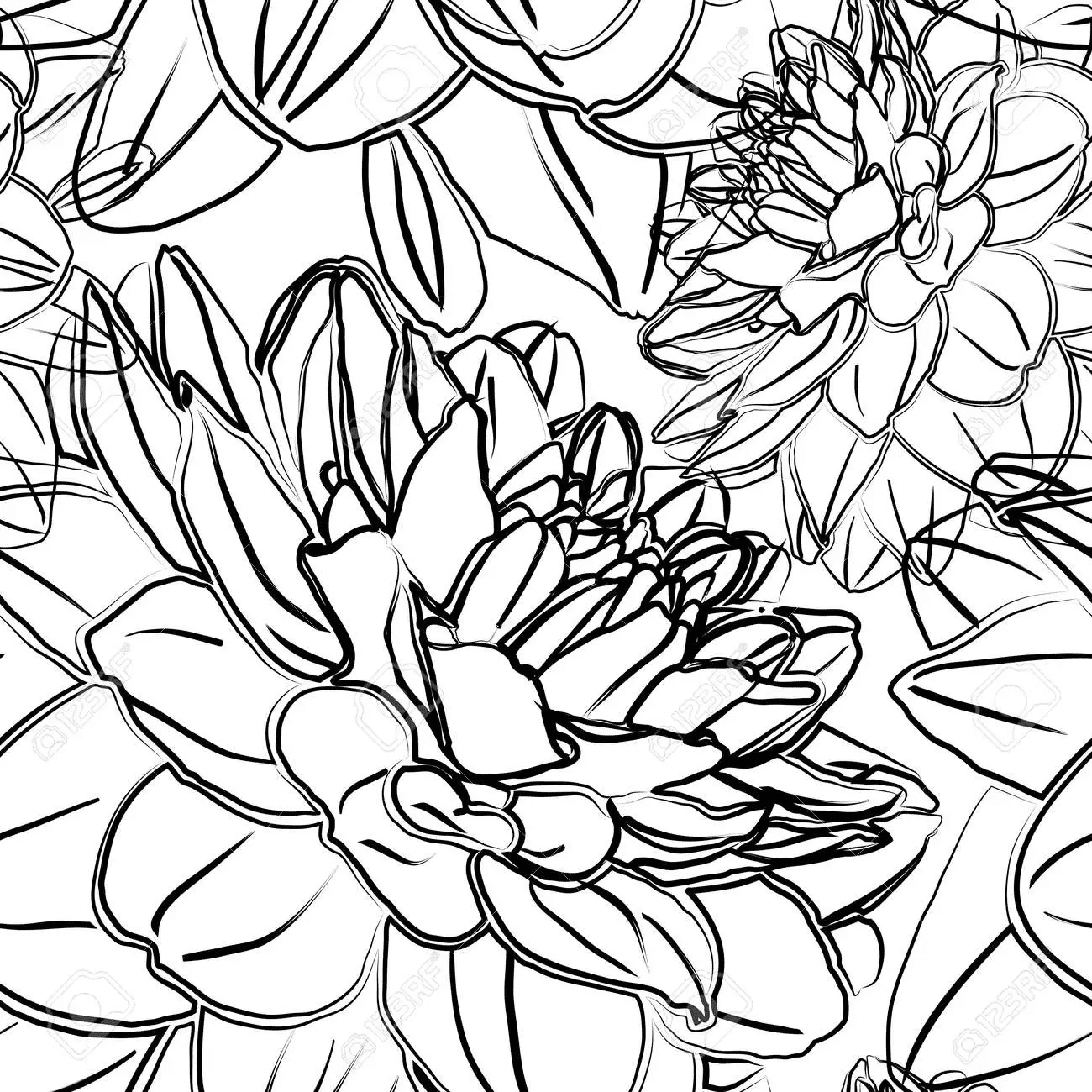 Dahlia Free To Print Coloring Page