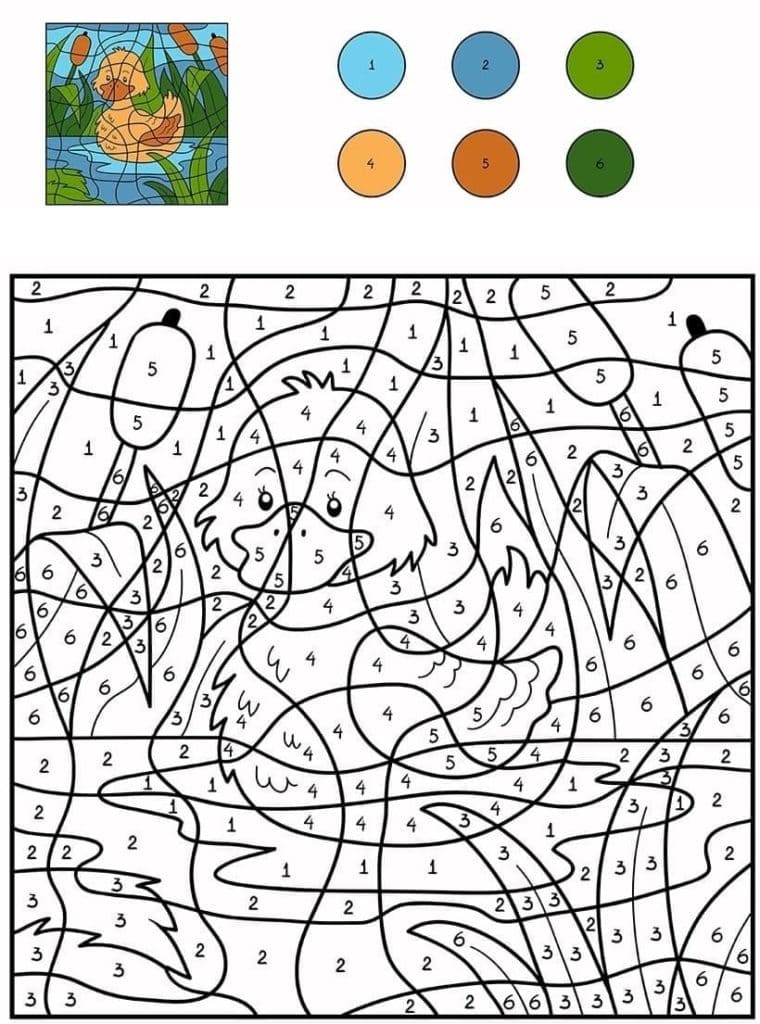 Duckling in the pond Coloring Page