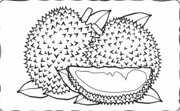 Durian Black And White Child Clip Art