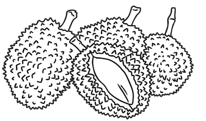 Durian Free Picture