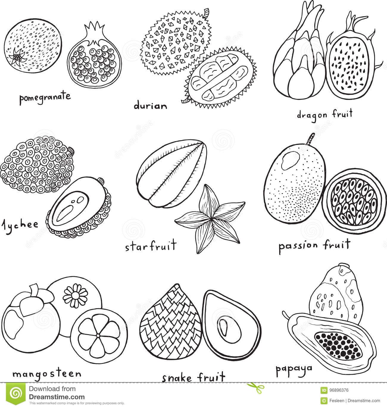 Durian Fruit To Print