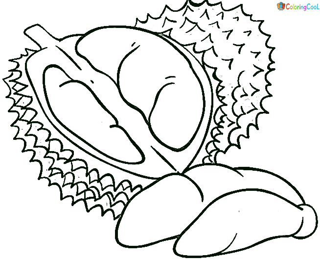 Durian Image Free Printable