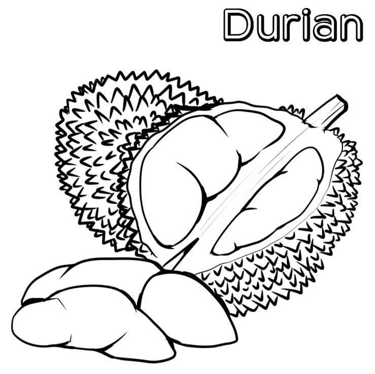 Durian To Print