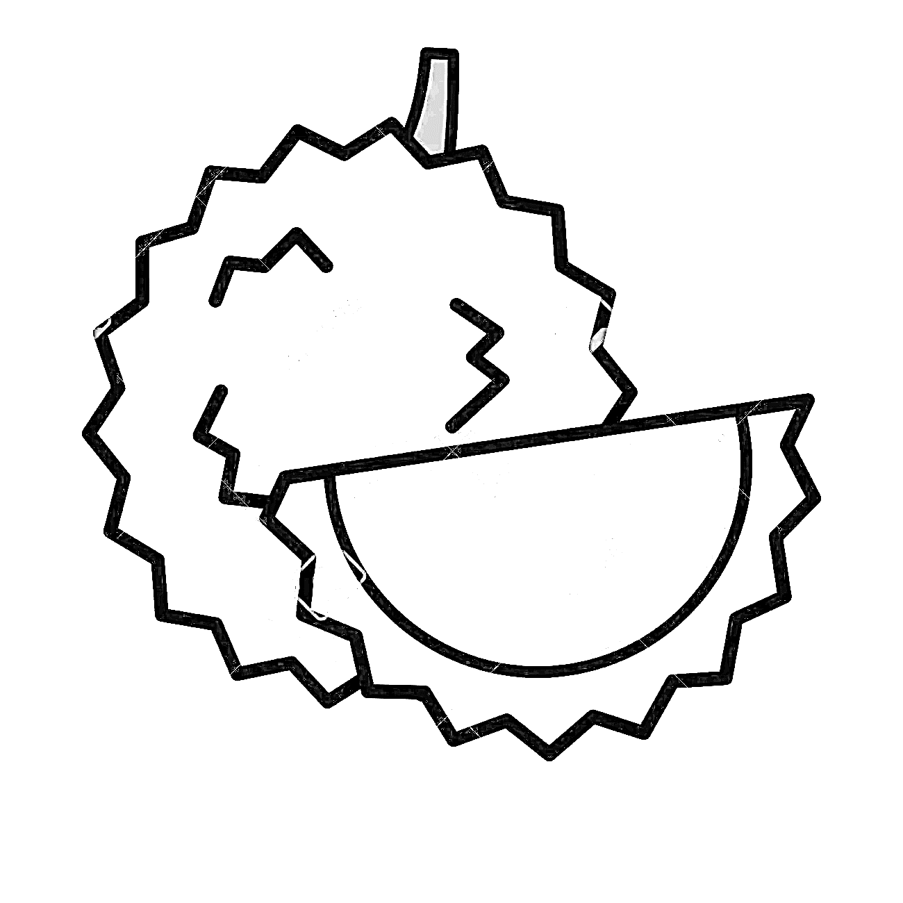 Durian vector illustration isolated