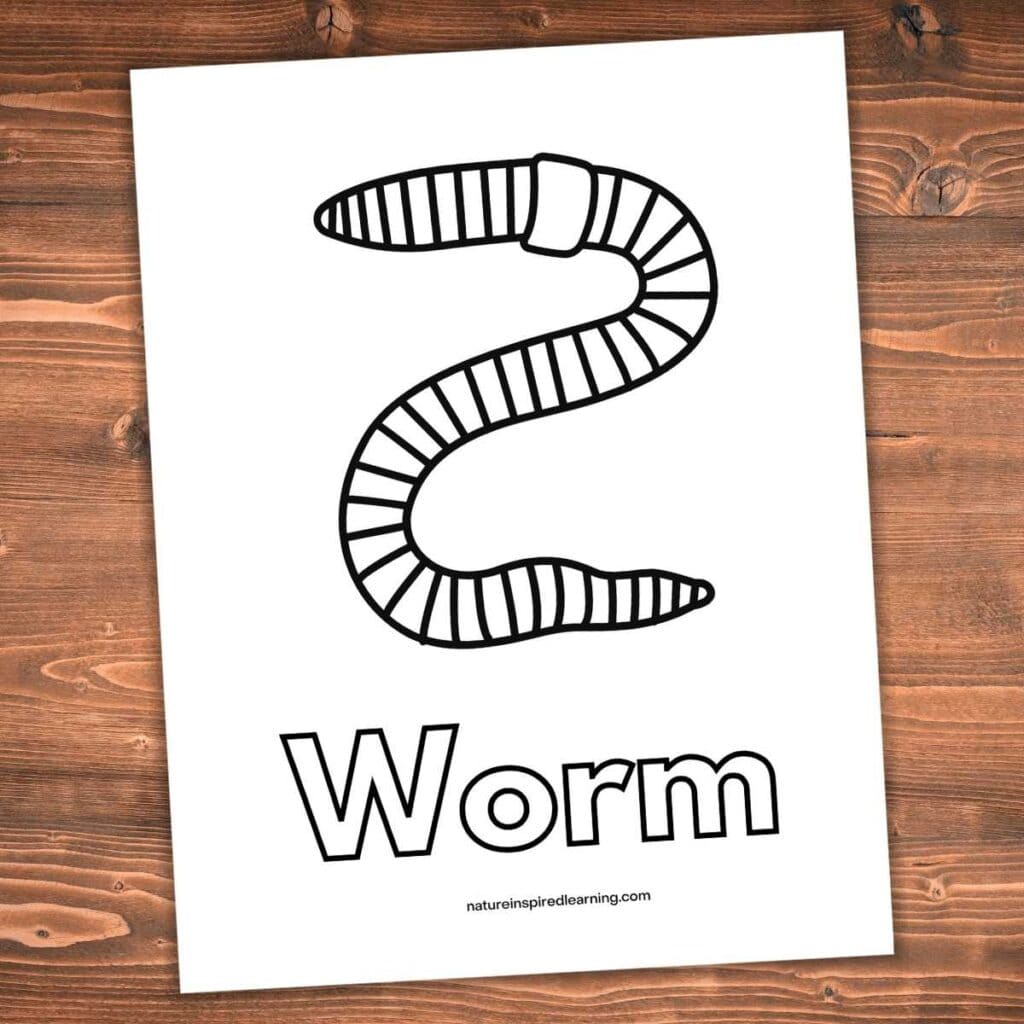 Earthworm Image