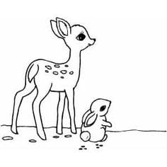 Fawn And Rabbit Picture