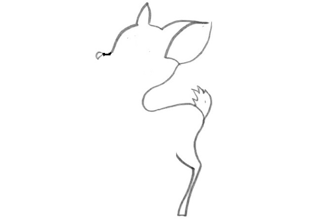 Fawn-Drawing-4