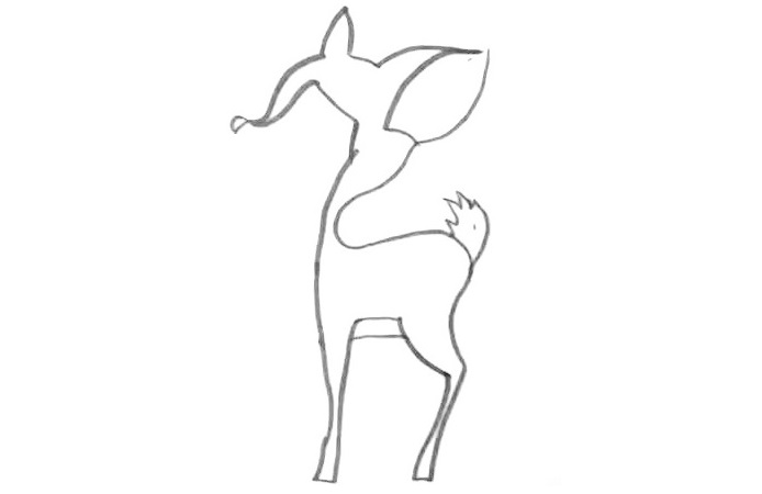 Fawn-Drawing-5