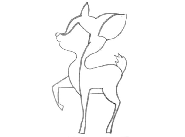 Fawn-Drawing-6