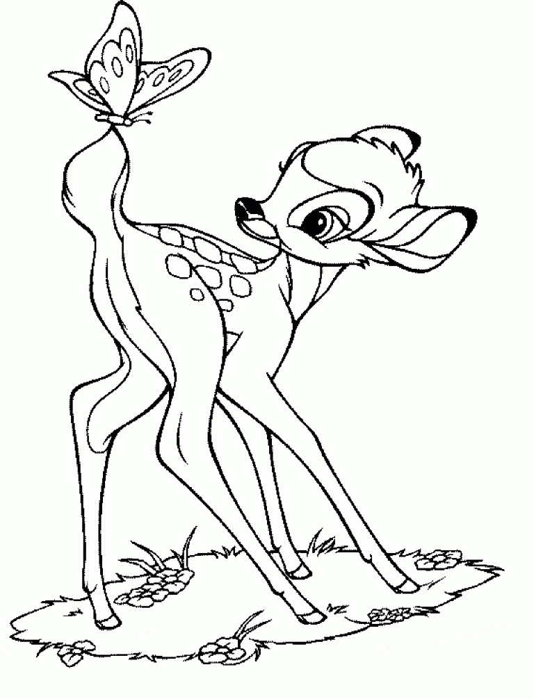 Fawn For Children