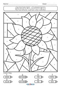 Flower Color by Number Coloring Page