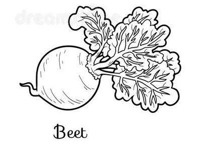 Free Beet Picture