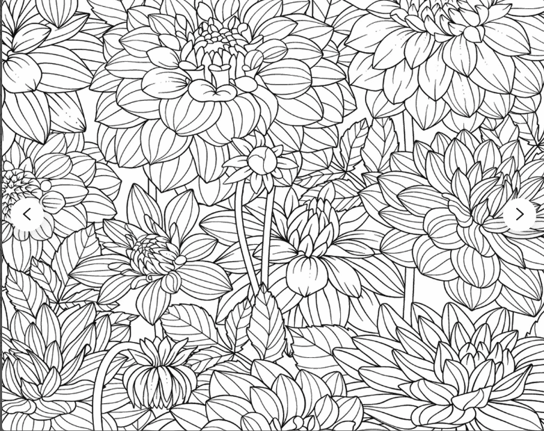 Free Dahlia Beauty Coloring Page