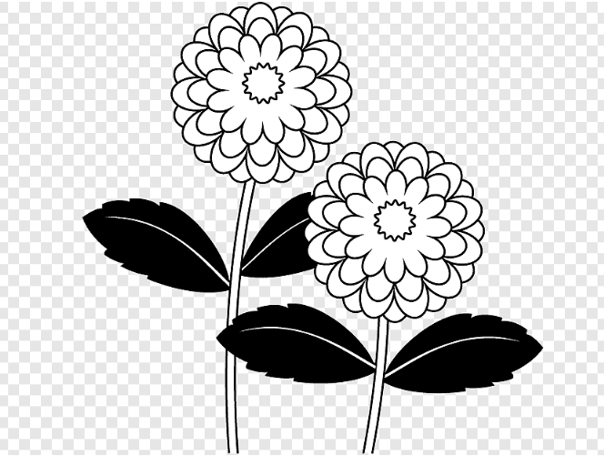 Free Dahlia Flower Coloring Page