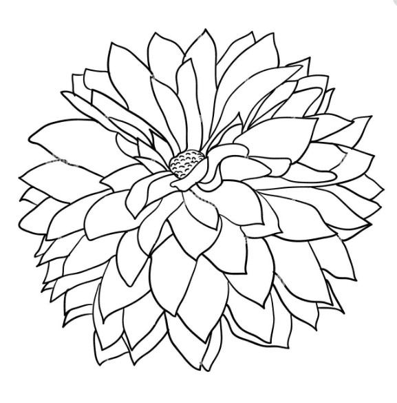 Free Dahlia For Kids Coloring Page