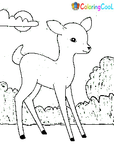 Free Fawn Picture