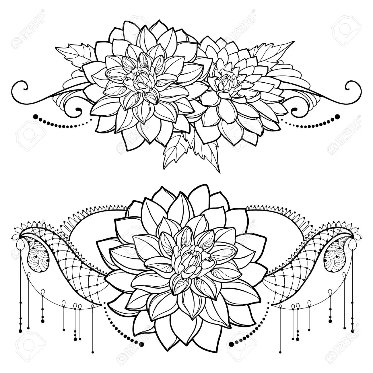 Georgina Or Dahlia To Print