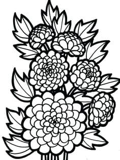 Hahlia Free Coloring Page