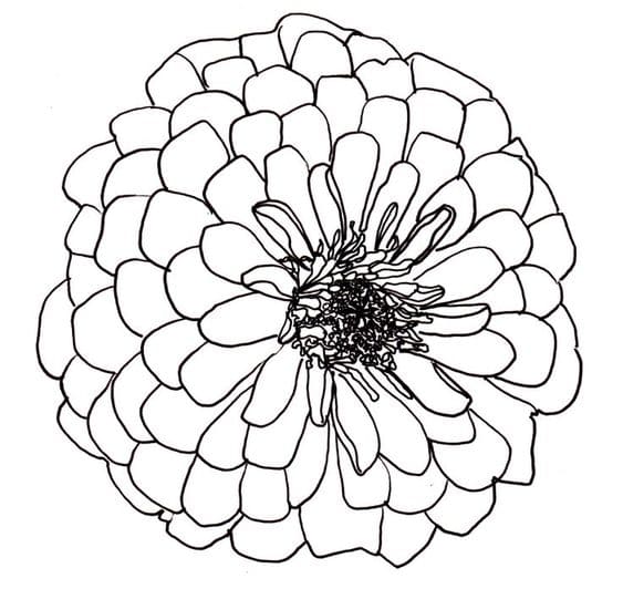 Hahlia Picture To Print Coloring Page
