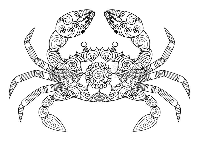 Hermit Crab Or Soldier Crab Coloring