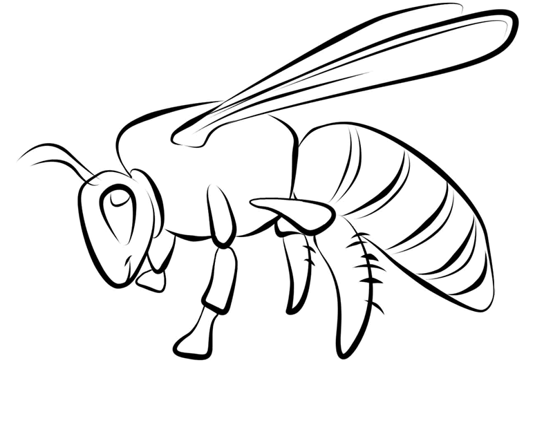 Honey Bee Cute Coloring Page