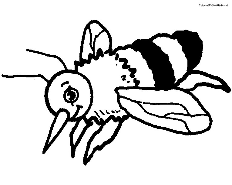 Honey Bee Image To Print Coloring Page