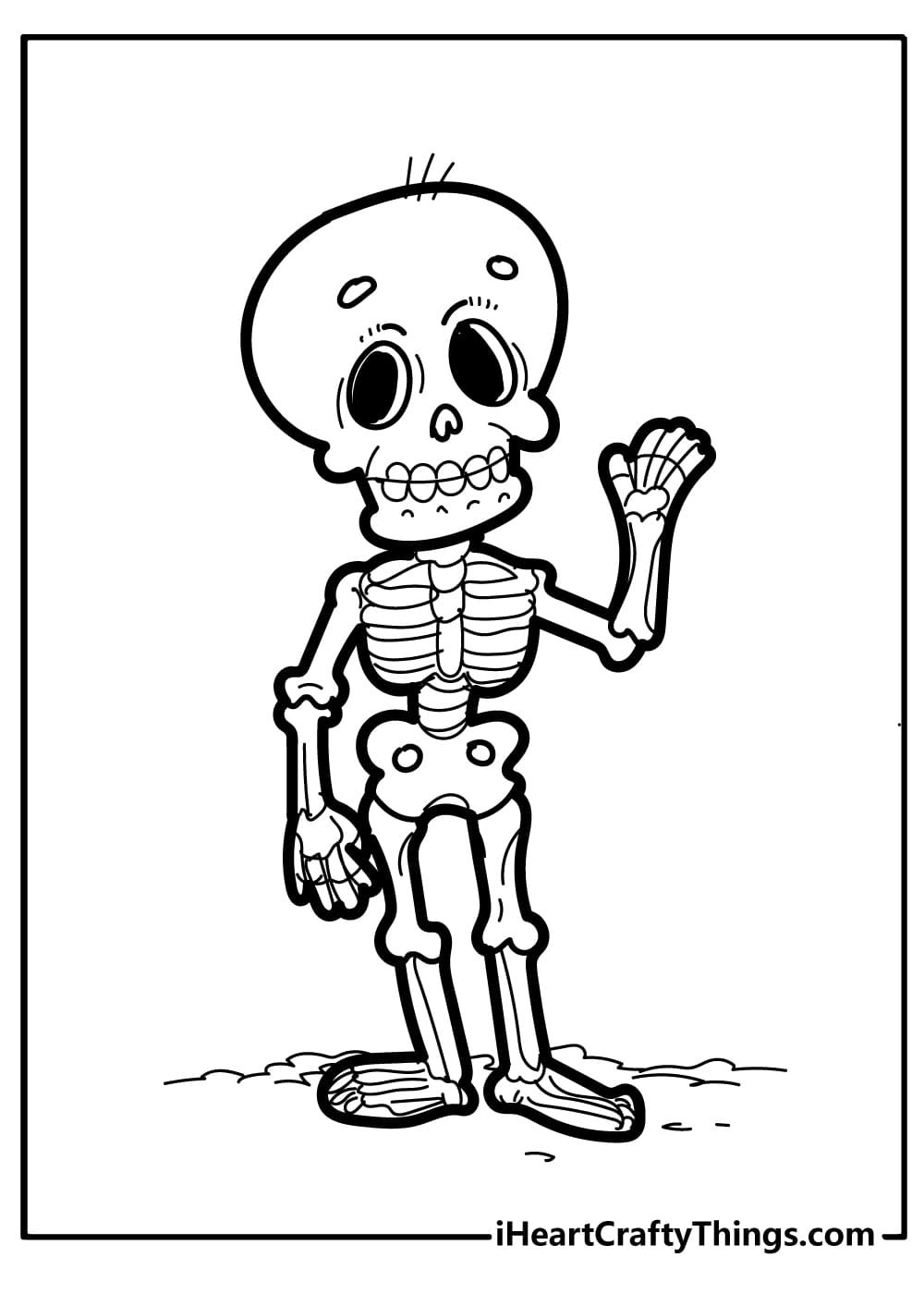 Human Skeleton For Children