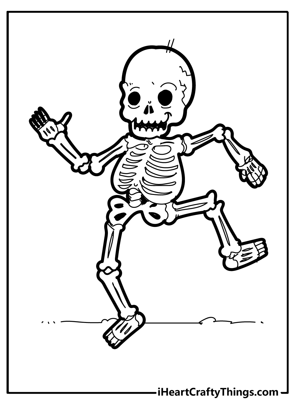 Human Skeleton For Kids