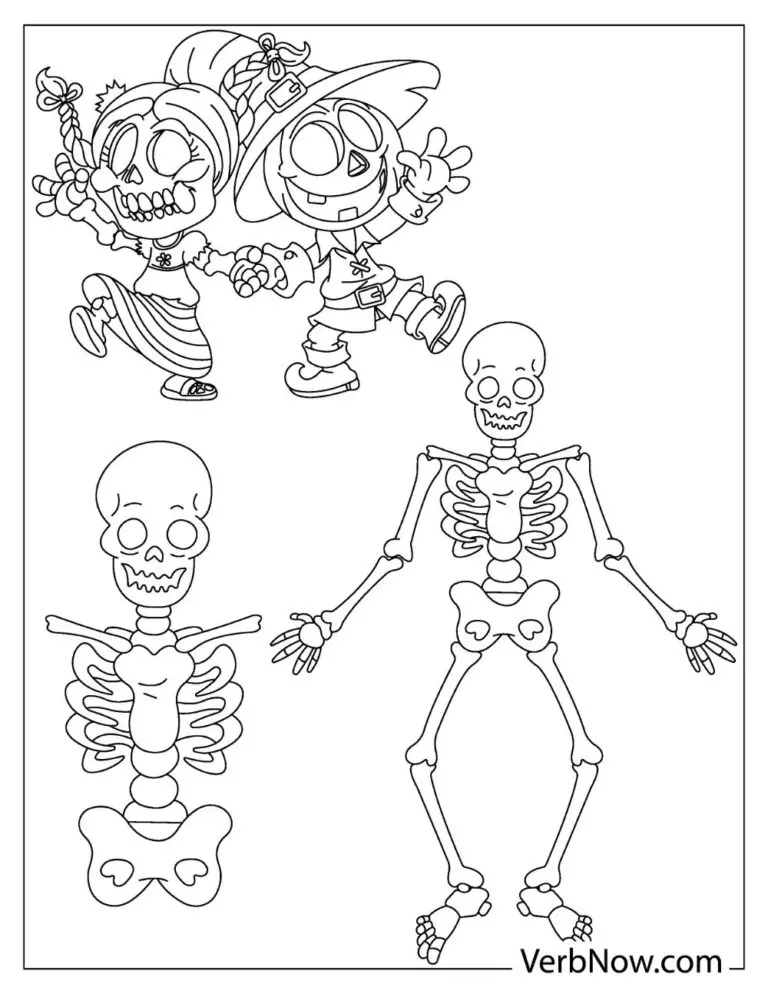 Human Skeleton Sheets