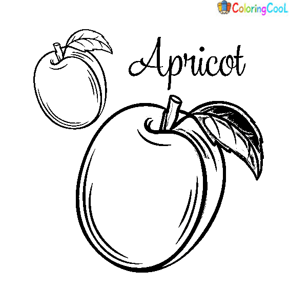 Image Apricots