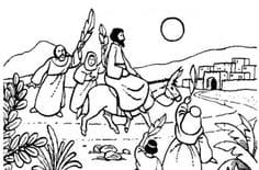Jesus Rode A Donkey to Jerusalem In Palm Sunday