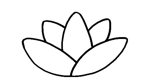 Lotus-Drawing-3