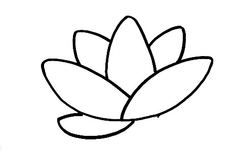 Lotus-Drawing-4