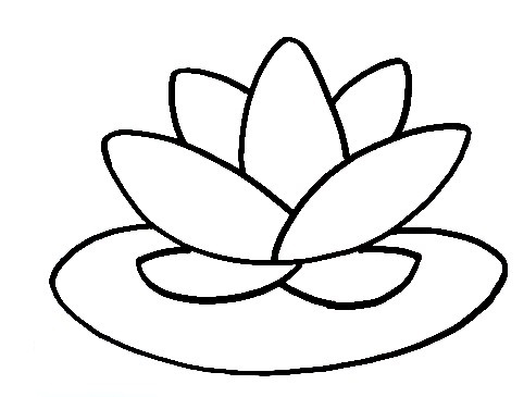 Lotus-Drawing-6