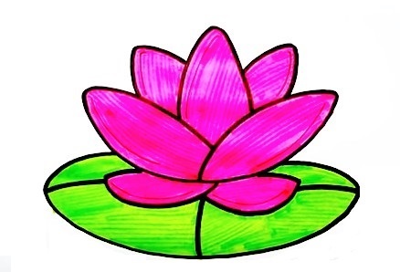 Lotus-Drawing-7