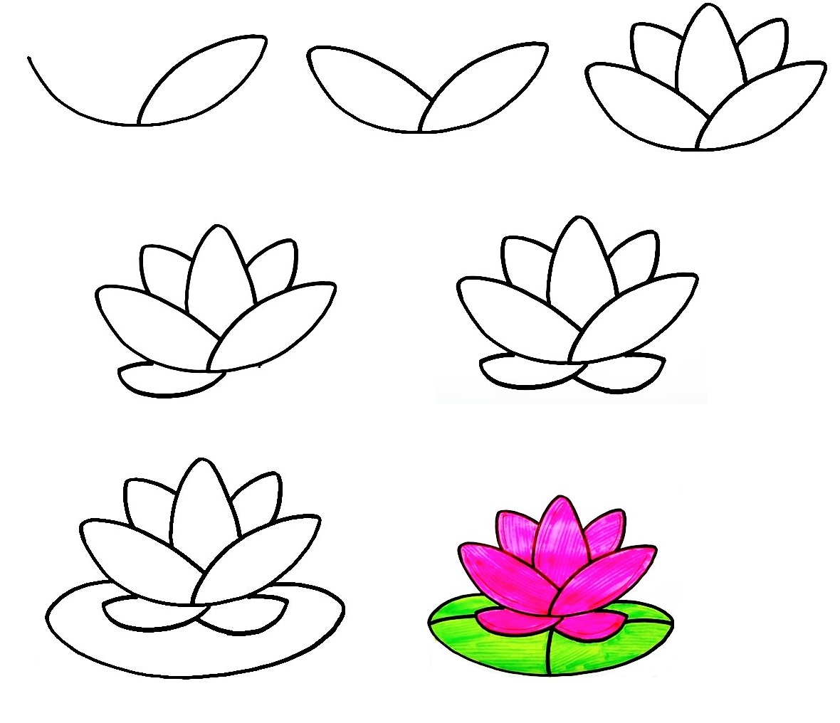 Lotus-Drawing
