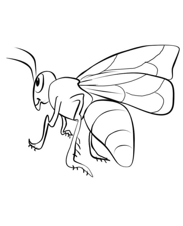 Mountain gray Caucasian bee Coloring Page